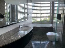 The Solitaire (D10), Condominium #560524261